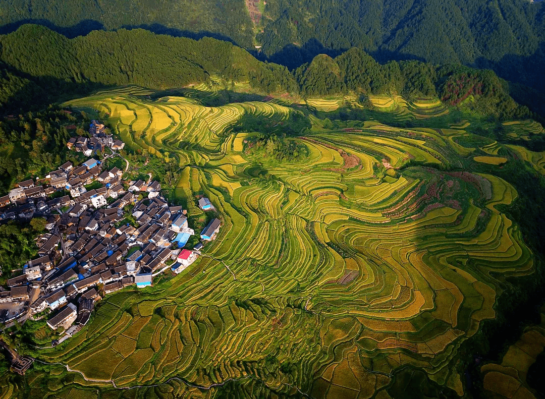 高要梯田