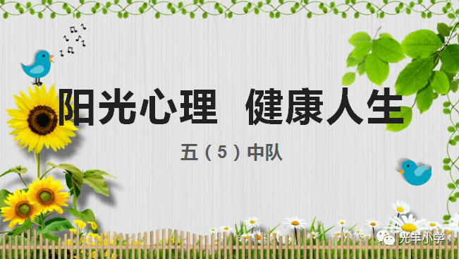 阳光心理健康人生光丰小学五5中队国旗下微展示