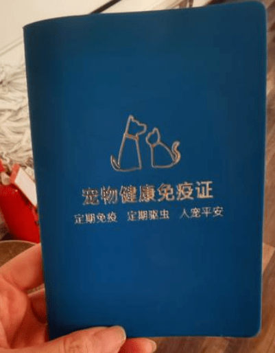 记者在罗恩的住处看到: 它已经办理过《宠物健康免疫证》