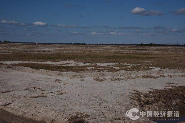 此刻,黑龙江大庆市一块500亩"盐碱地改良基地"一片欢腾,收割机忙碌