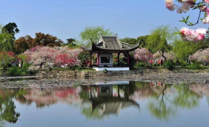 早春季节,梅花盛开,这里一片"香雪海",香气馥郁,沁人心肺.