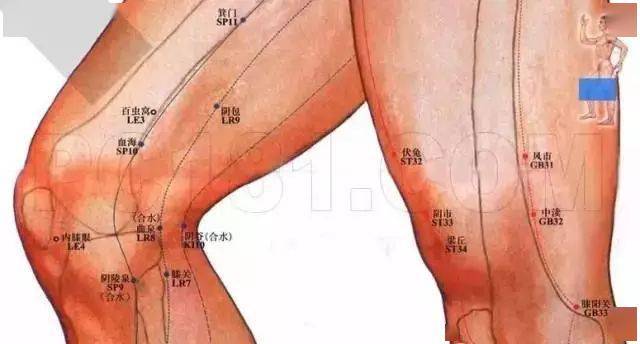腿外侧有胆经,胃经,膀胱经,每条经络的通畅情况,都会相应表现在腿部的