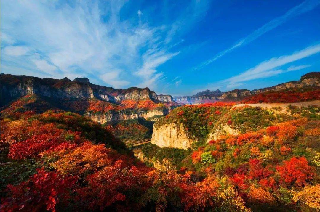 安阳林州太行大峡谷的红叶,最大的特点是与大山,流水的完美结合.