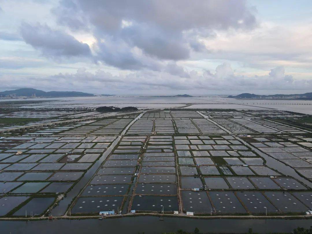 定了珠海正在打造鹤洲新区