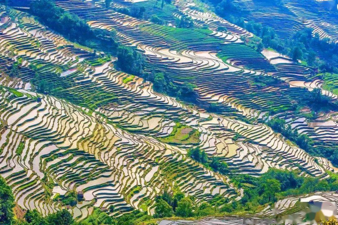 元阳哈尼族之家,梯田如画元阳梯田是哈尼族人历经1300年留下的杰作.