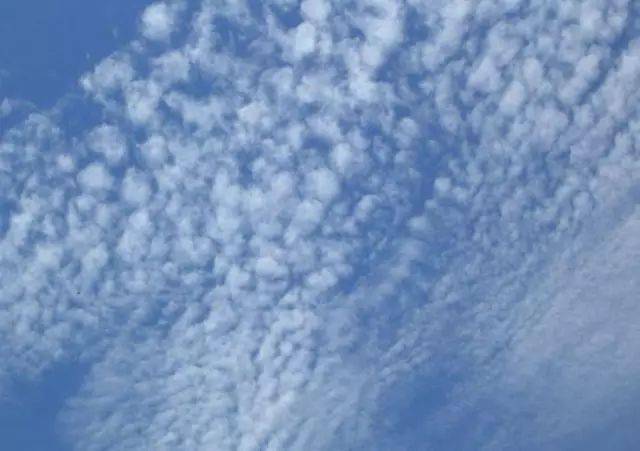 云的高度 来自搜狐网