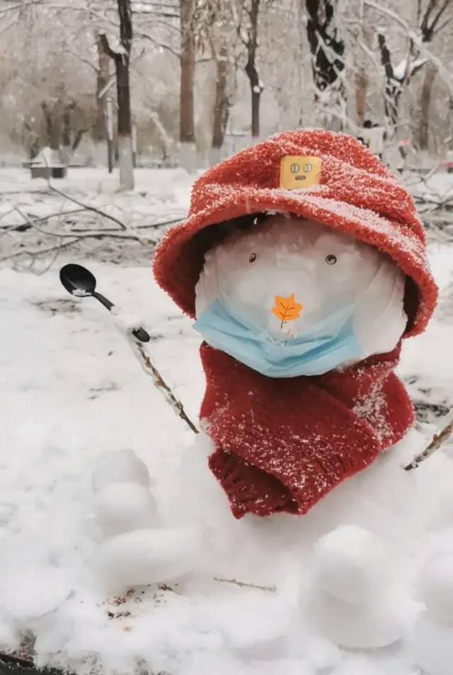 还挺注意疫情防控的嘛一个带口罩的小可爱快来看看大家堆的小雪人吧!