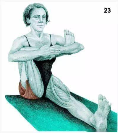 34种拉伸运动集合_臀部