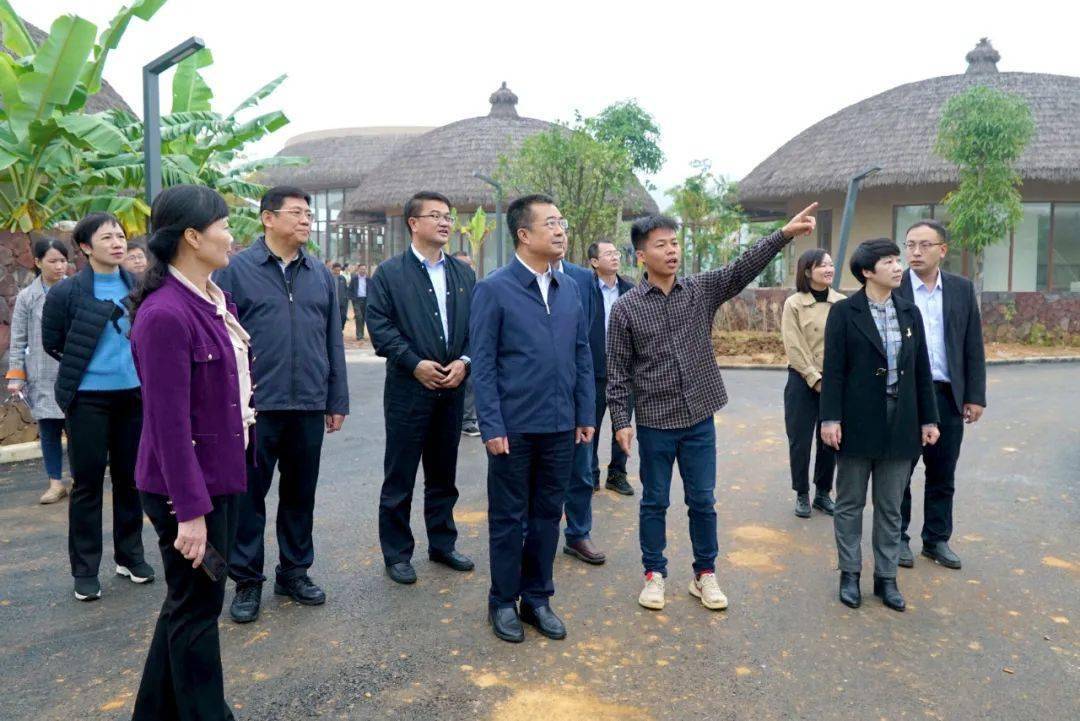 11月16日,市委书记何良军,市长迟威率队到江州区开展2022年广西文化