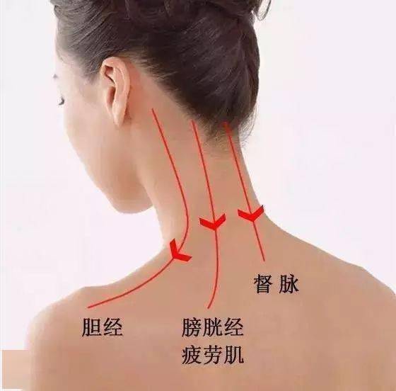 脖子是身体最致命的部位一旦出现四种问题要小心