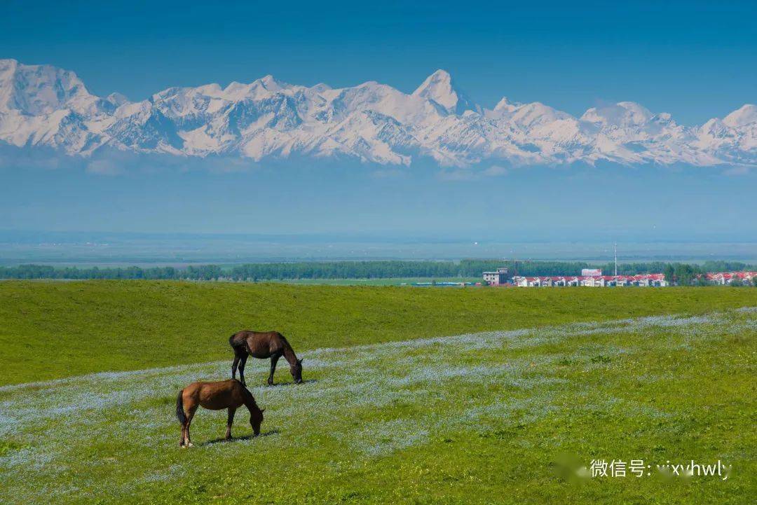 阿克苏旅游景点介绍