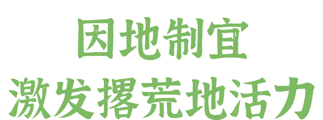 鹤山市还把撂荒地复耕复种整治工作纳入乡村振兴考核,并组织成立7个由