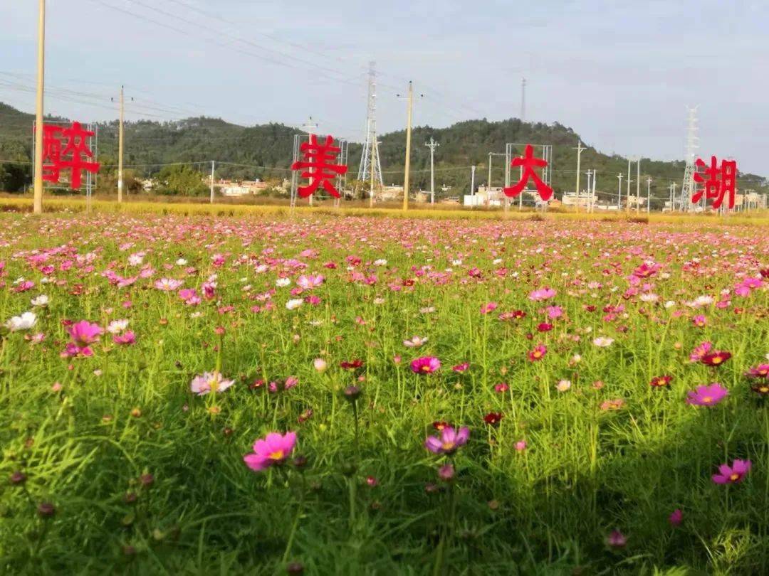 积极探索革命老区"借道兴村"的旅游新模式,走出了一条 目前,连平县大