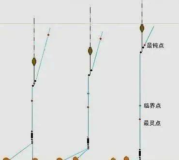 冷天调漂,调平水钓1,2目,不如调5钓2,长子线补顿!