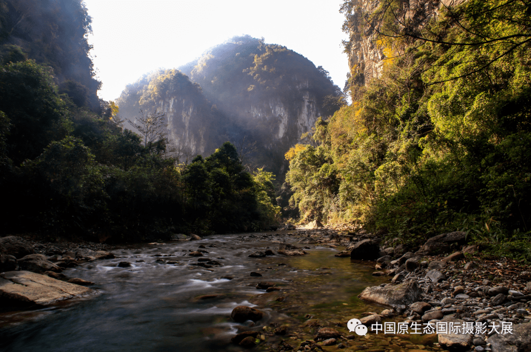 赏美景 | 幽谷峻峡,玉宇仙境——油杉河