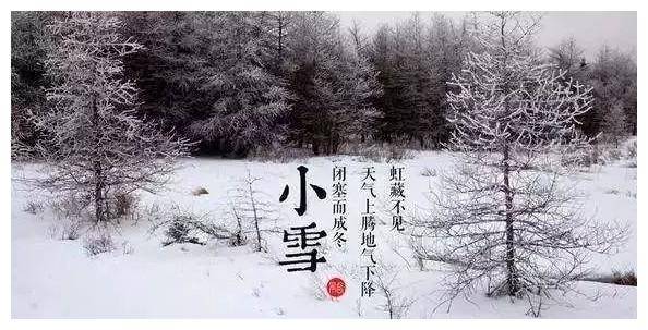 节气谚语:小雪不分股,大雪不出土,今日小雪,还能播种小麦吗?