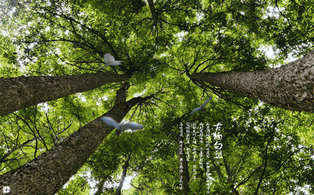 刚刚传来,四川又一世界级风景被发现,太令国人自豪了!