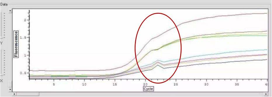 异常曲线3:荧光定量pcr实验结果中无ct值出现原因分析:(1)pcr参数设置