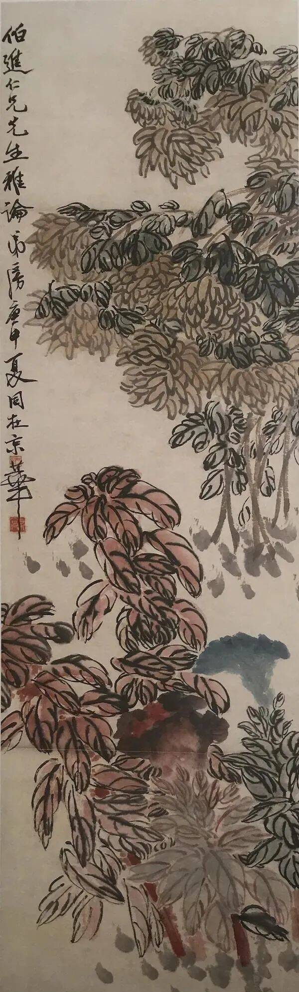 看齐白石画菊_纸本_北京画院_菊花