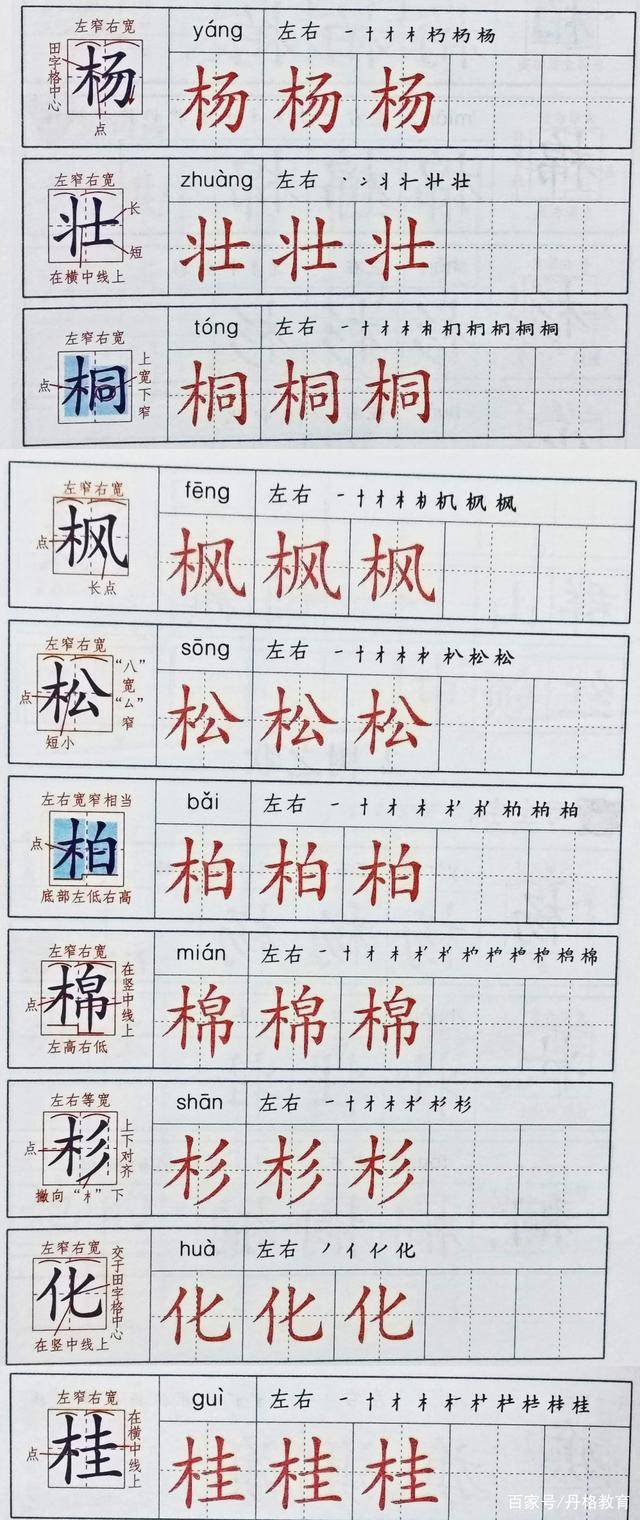 棵的笔顺 来自搜狐网