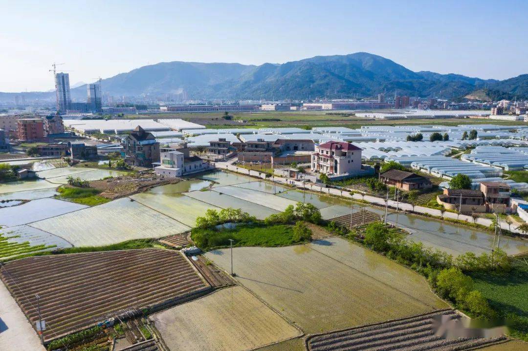 【乡村振兴】东平村:解锁乡村振兴"密码 共建美好家园