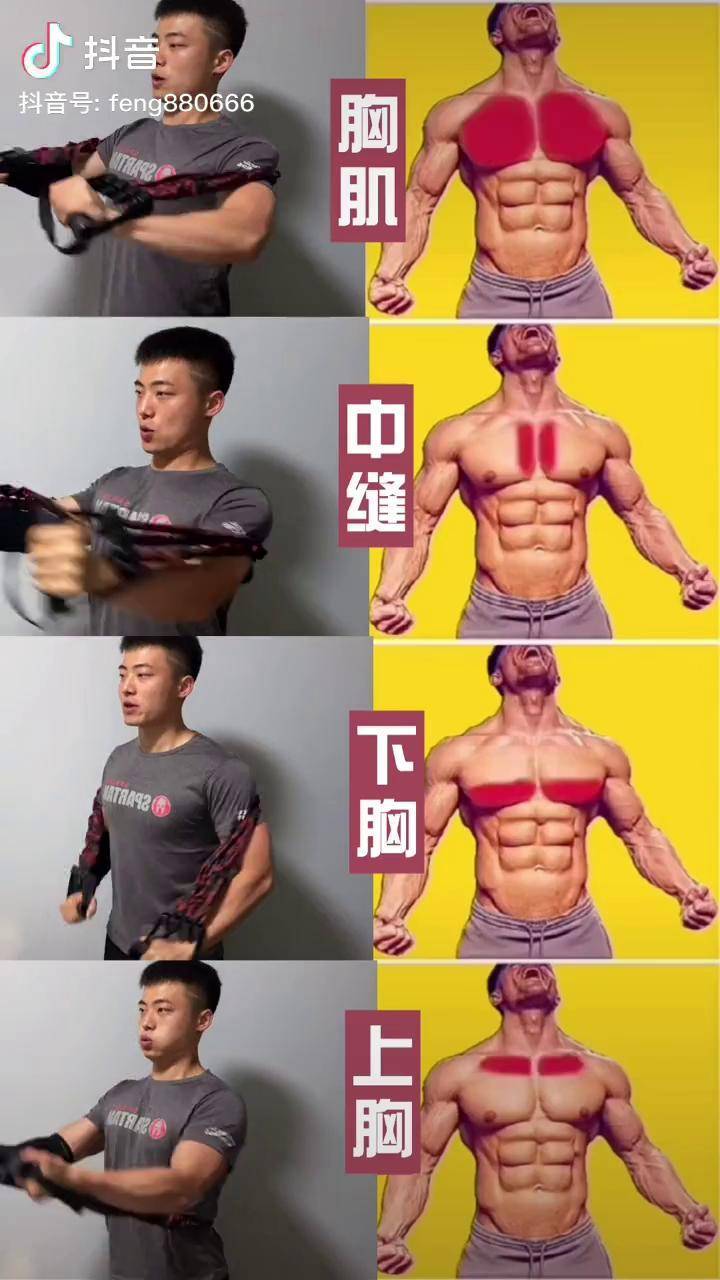 有梦就去追，趁年轻想要的身材就去练胸肌训练抖音618好物节练胸-频道-手机搜狐