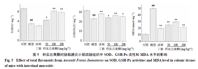 枳实总黄酮对5-氟尿嘧啶诱导的肠黏膜炎小鼠肠道菌群失调的影响_结肠