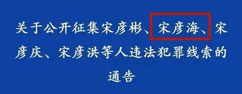 12月2日,河南省公安厅发布《关于公开征集宋彦彬,宋彦海,宋彦庆,宋彦