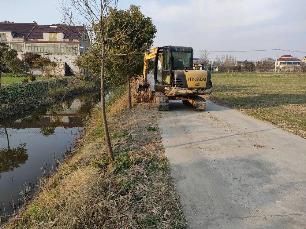 自己的河道自己管护|直击吴窑镇河道整治现场(九)_河坡_进行_龙河村