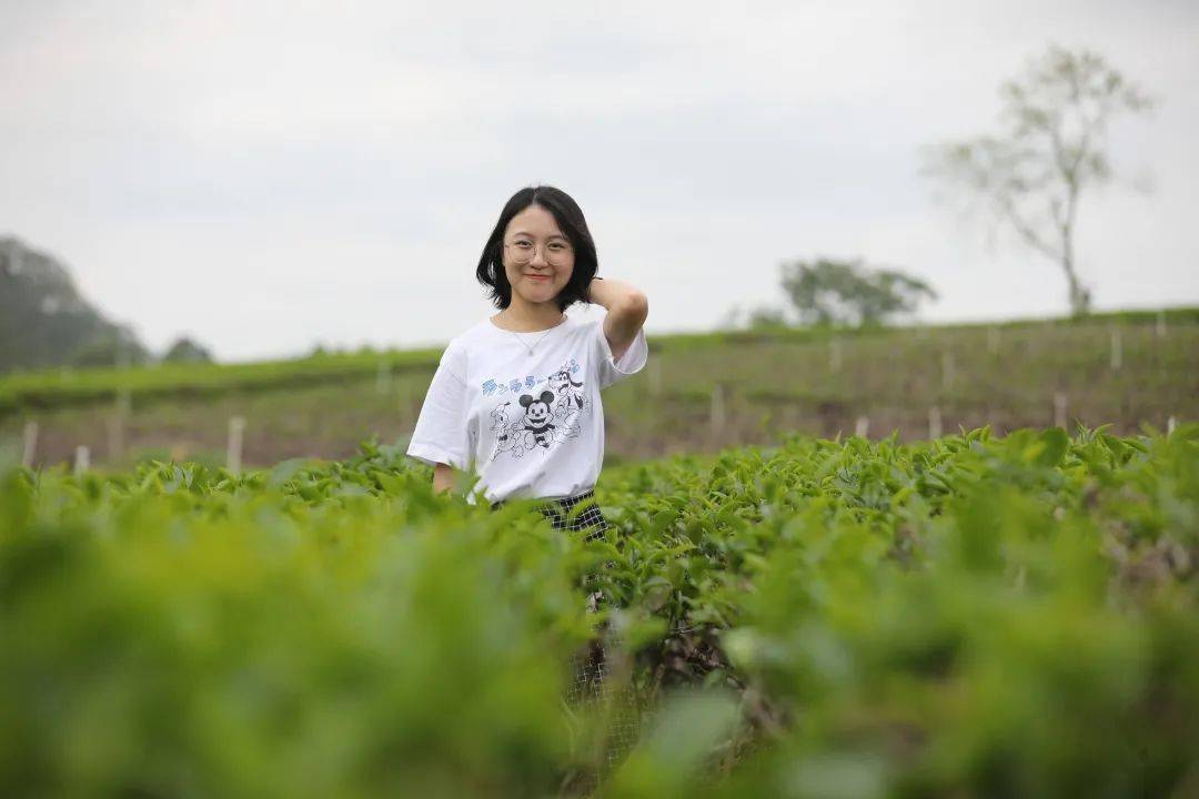 秋游大美佛山,与书香茶韵来一场浪漫约会_对川茶场_文化_茶叶