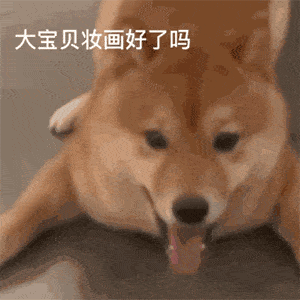 聊天热门表情包跟你的某人聊天必备快存