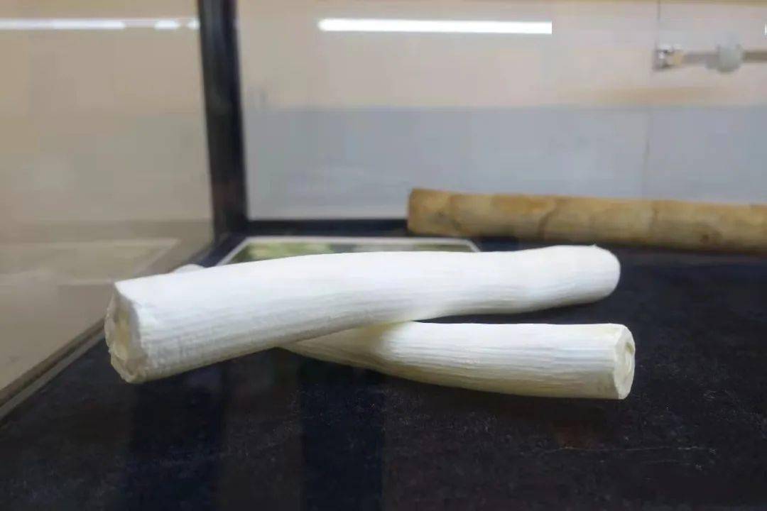 茎髓大,质地轻软,颜色洁白,俗称「通草」, 切成的薄片叫「通草纸」