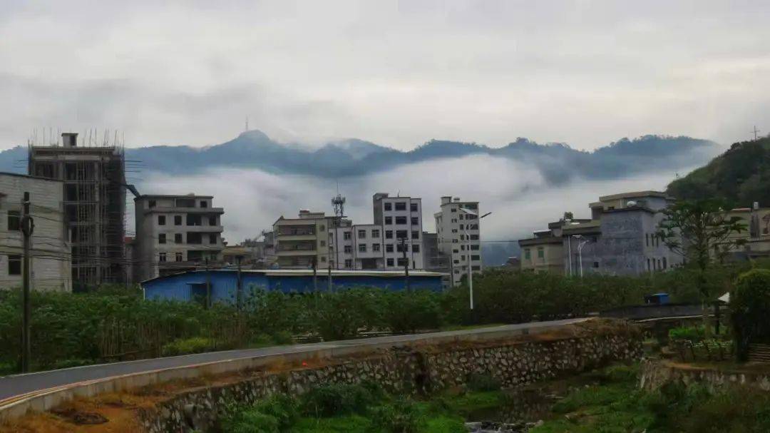 信宜茶山碧道建成,镇容镇貌华丽变身…_生活_整治_镇区