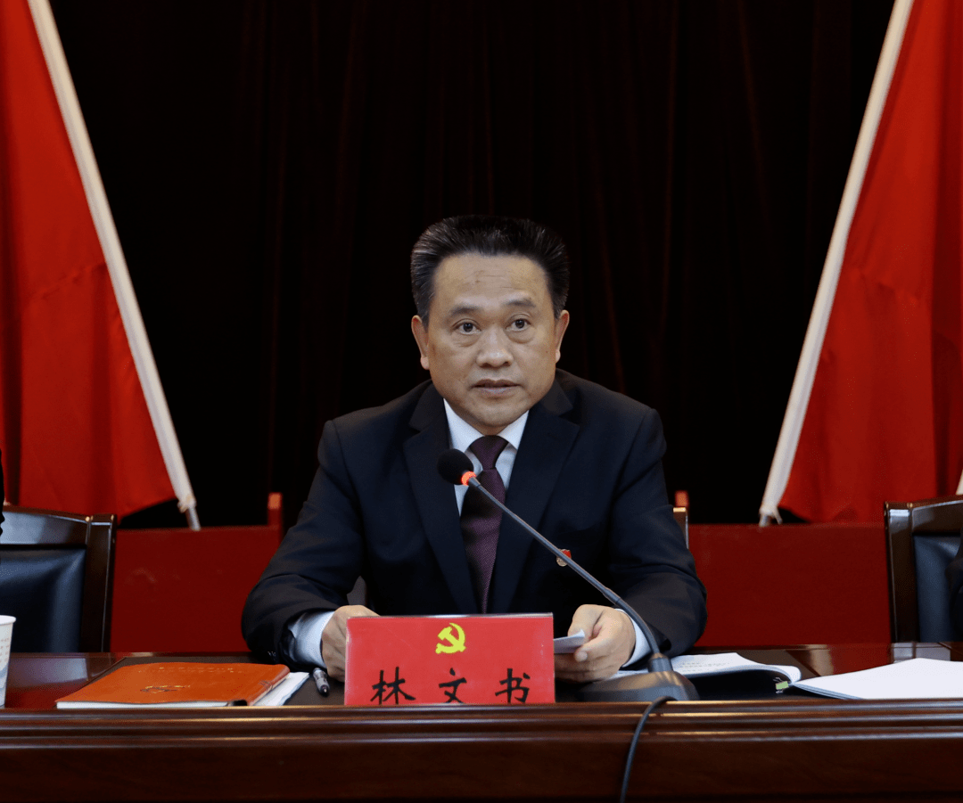 中国共产党洪山区第十二届委员会第一次全体会议召开林文书同志当选区