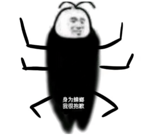 地主哥的小强精神深深值得大家学习周周被虐却还是越挫越勇地主哥