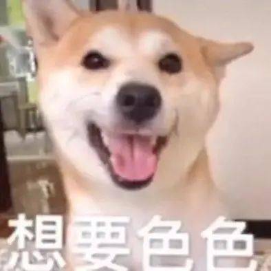爱生活2021年度十大表情包出炉你用过几个