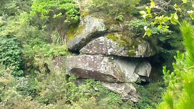 在湖北利川县的乌鹰岩下的漆树坪,有一座石坟.