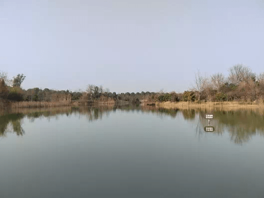 亳州打卡旅游地西淝河国家湿地公园
