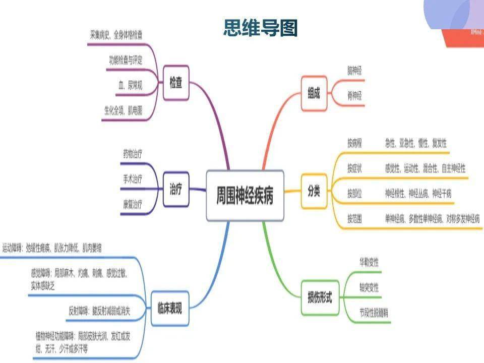 【ppt】周围神经损伤护理查房_微信_中卫_咸阳医院