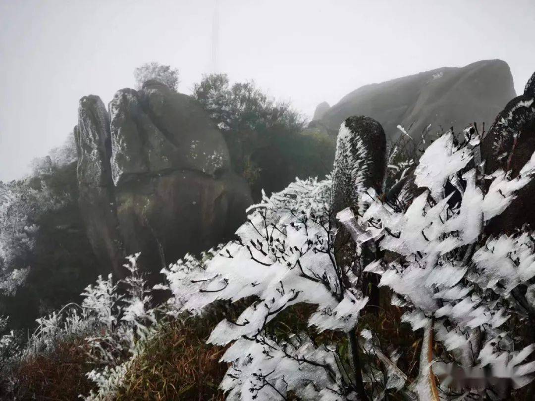 福建下雪啦!_雾凇_九仙山_南平