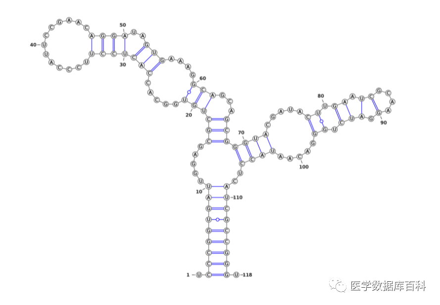 ufoldrna二级结构预测