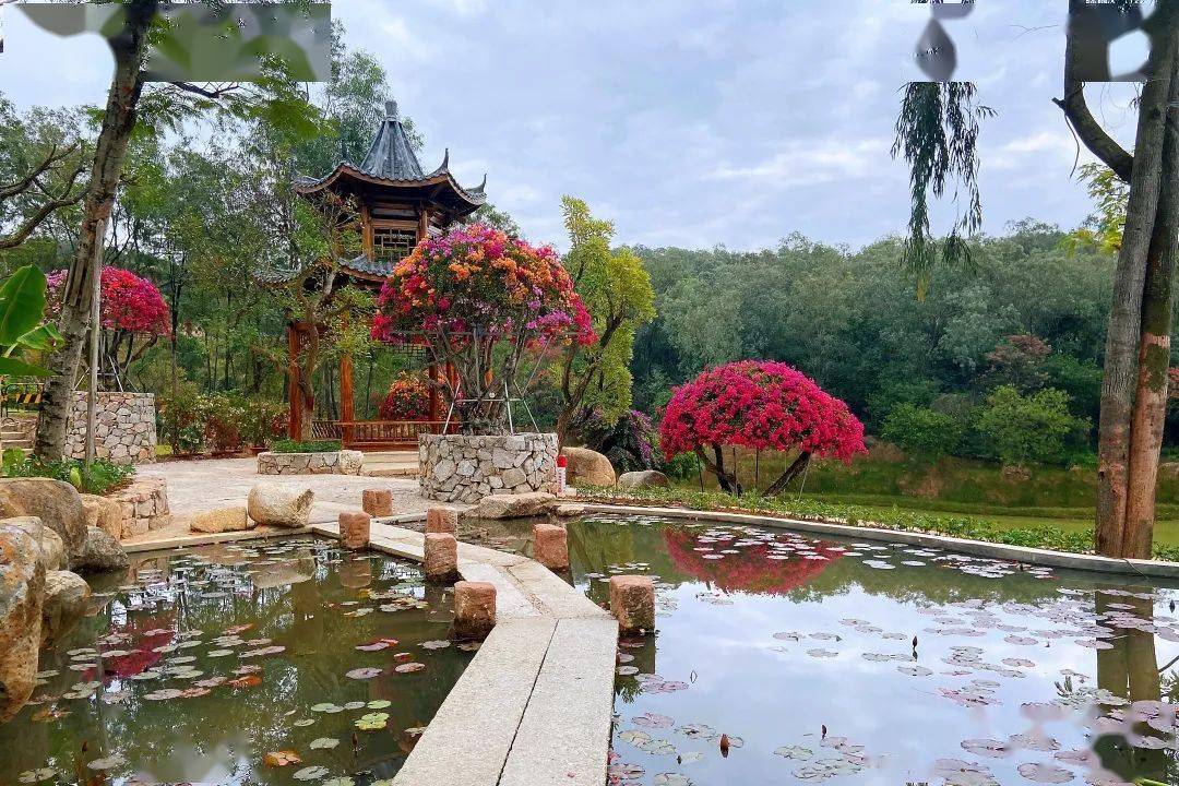 广州最新「宝藏级」植物园开放预约_马岭_花卉_花都