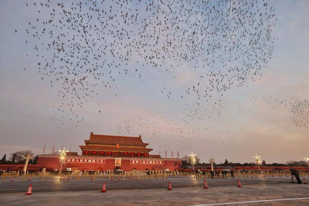 礼毕,军乐团奏响《歌唱祖国,万羽和平鸽