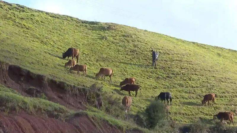 来源:视听文山,如有侵权请联系我们予以删除,转载请注明出处,谢谢!
