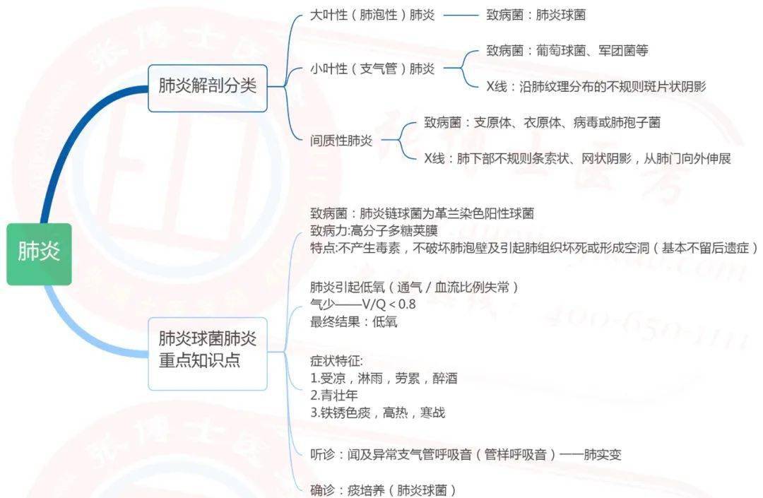 临床呼吸系统思维导图