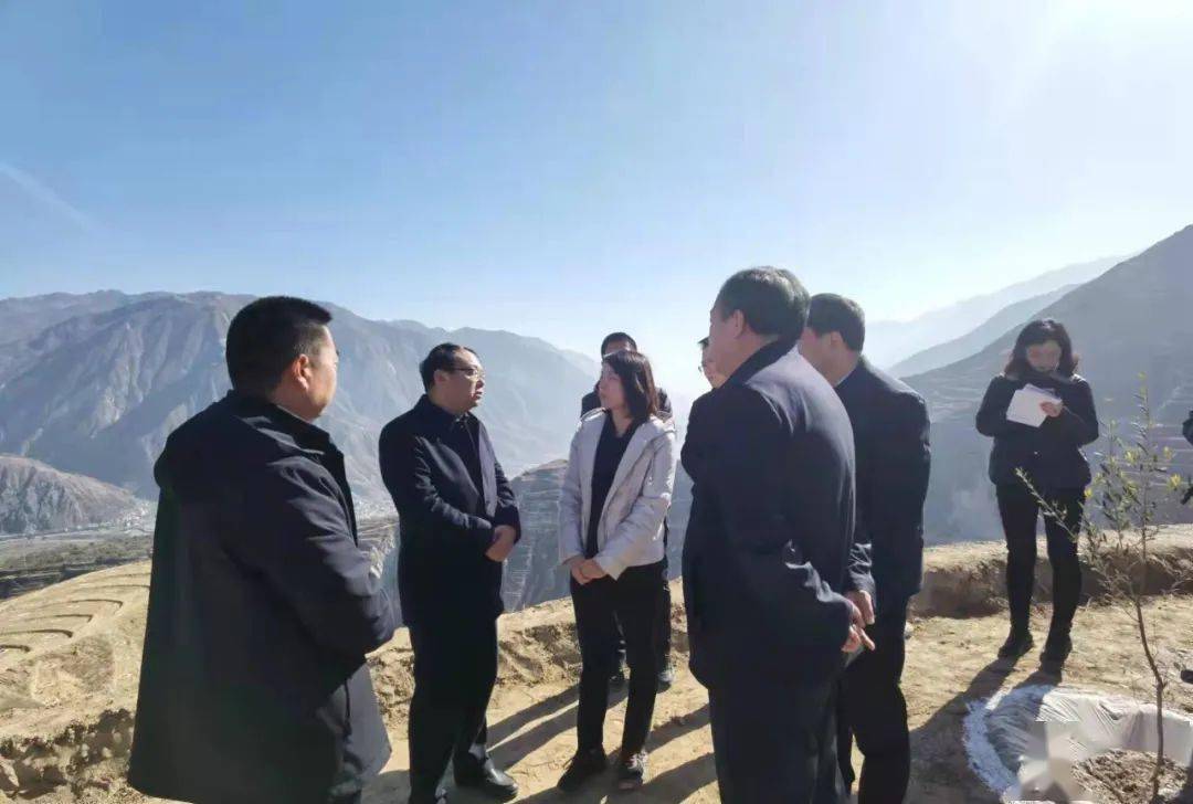 1月18日,市委副书记蒋小丽深入武都区调研油橄榄产业发展工作.