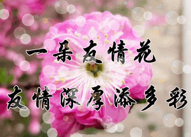 今日立春,祝福送上!_祝如意_亲爱的朋友_生活
