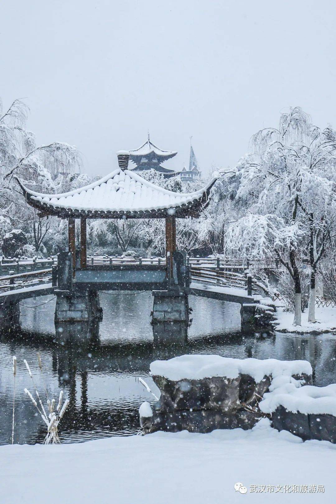 武汉今天的雪终于下好了!_雪景_木兰_景区