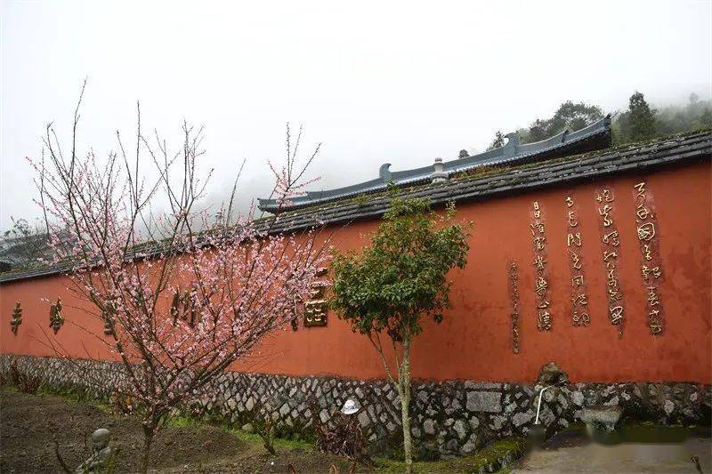 (烟雨中的雪峰崇圣禅寺)漫步于雪峰崇圣禅寺,记者看到,一树树梅花