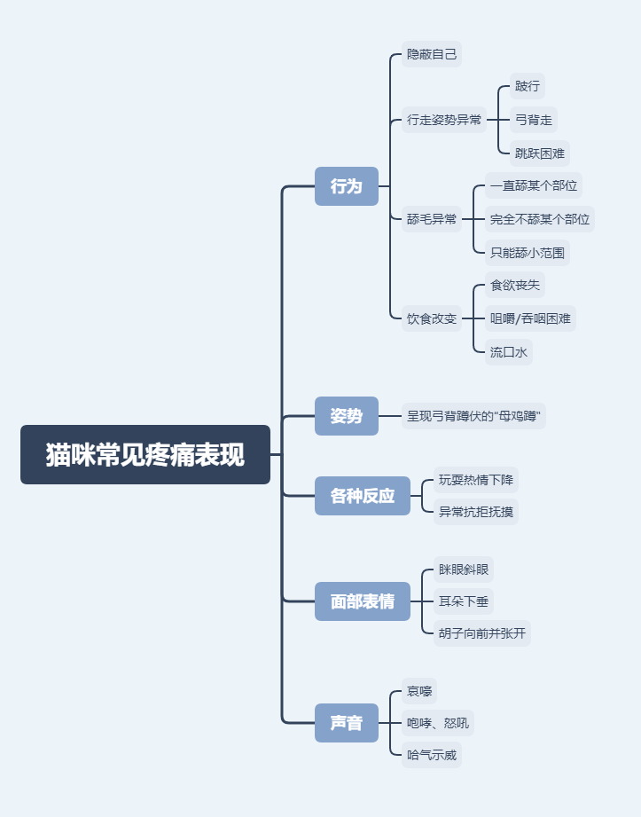 在开始之前,萌爪将猫咪疼痛的表现总结成了思维导图,帮助大家梳理和